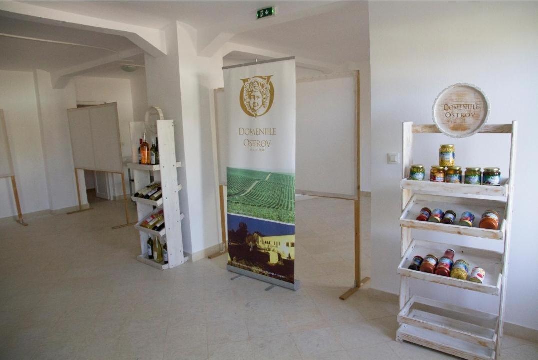 Naiada Villa Ostrov ภายนอก รูปภาพ